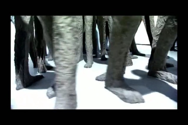 Video Reference: Elephant, Elephants and Mammoths, Footwear, Fur, Jeans, Leather, Leg, Textile, Trousers, High heels, Person