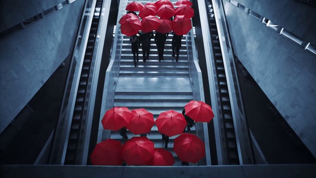 Video Reference: Red, Petal, Architecture, Plant, Flower, Symmetry, Carmine
