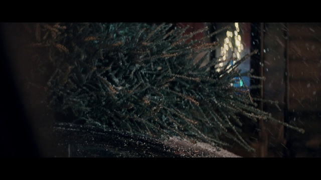 Video Reference: Darkness, Nature, Tree, Organism, Screenshot, Photography, Wildlife, Digital compositing, Art, Space