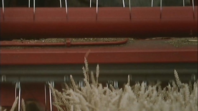 Video Reference: Transport, Grass, Vehicle, Roof, Grass, Rolling stock, Train, Plant, Metal