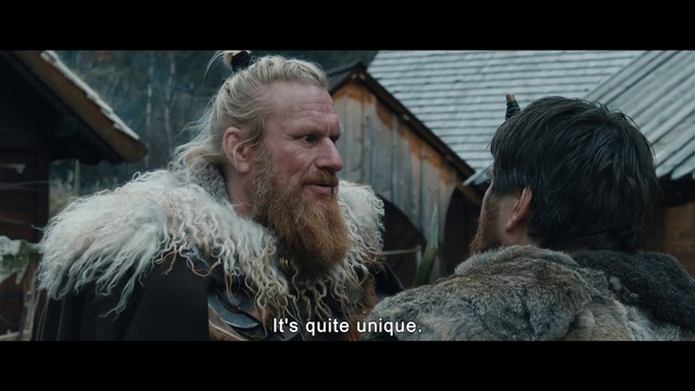 Video Reference: Beard, Facial hair, Moustache, Natural material, Fur, Wrinkle, Event, Animal product, Darkness, Flash photography