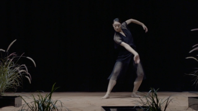 Video Reference: performing arts, entertainment, performance, dancer, performance art, event, choreography, modern dance, theatre, concert dance, Person