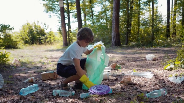 Video Reference: Soil, Tree, Play, Woodland, Adaptation, Plant, Forest, Leisure, State park