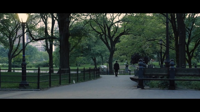 Video Reference: green, tree, nature, plant, woody plant, leaf, walkway, urban area, morning, grass, Person