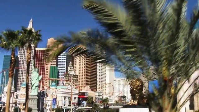 Video Reference: Metropolitan area, City, Urban area, Property, Human settlement, Building, Tree, Daytime, Palm tree, Skyscraper