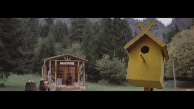 Video Reference: Birdhouse, Shed, House, Wood, Bird feeder, Birdhouse, Pet supply