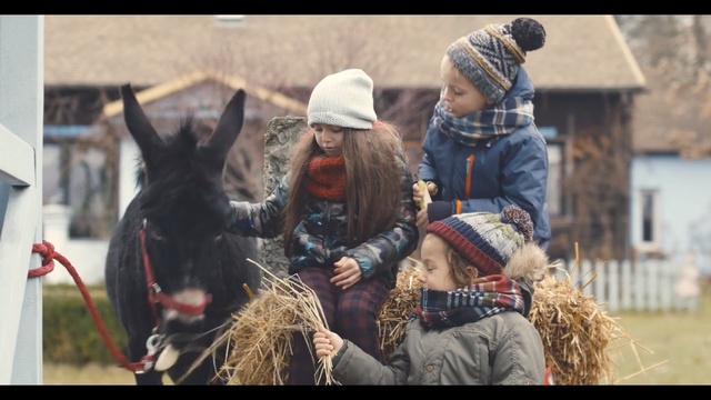 Video Reference: Pack animal, Bridle, Horse, Rein, Landscape, Straw, Hay, Person, Female