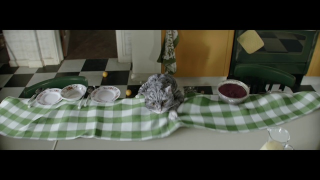 Video Reference: Green, Table, Tablecloth, Textile, Linens, Tableware, Meal
