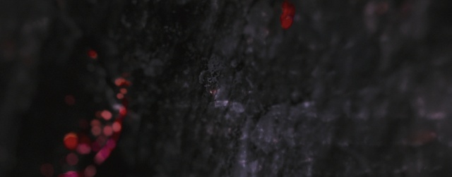 Video Reference: Black, Red, Darkness, Sky, Water, Organism, Night, Geological phenomenon, Atmosphere, Tree