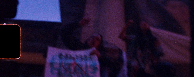 Video Reference: Violet, Purple, Blue, Black, Photograph, Pink, Light, Magenta, Design, Fun, Indoor, Sitting, Laptop, Table, Computer, Front, Monitor, Room, Dark, Blurry, Man, Television, Phone, Cat, Screen, Desk, Red, Woman, Living, White, People, Human face