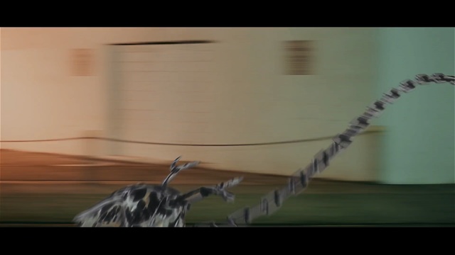 Video Reference: black, ecosystem, snapshot, screenshot, atmosphere, darkness, wing, wood, line, shadow