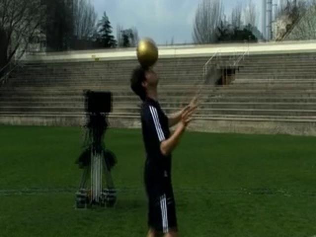 Video Reference: Player, Grass, Lawn, Sports equipment, Sports training, Fun, Tree, Competition event, Ball, Artificial turf