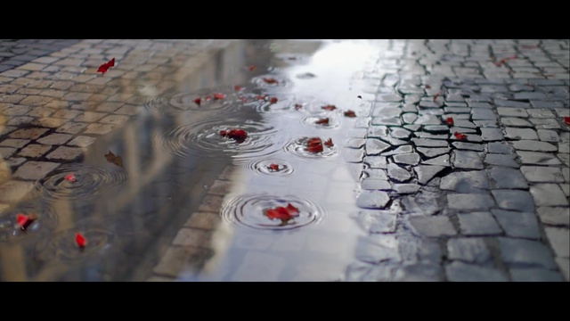Video Reference: water, reflection, photography, rain, road surface