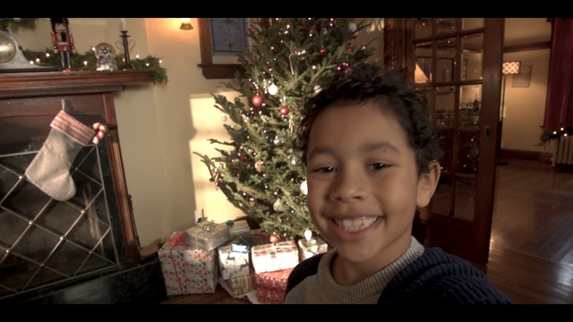 Video Reference: Christmas, Christmas tree, Hair, Facial expression, Christmas ornament, Smile, Holiday, Christmas decoration, Christmas eve, Tree, Person