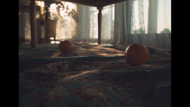 Video Reference: light, sunlight, morning, darkness, wood, shadow, screenshot, sky, flooring
