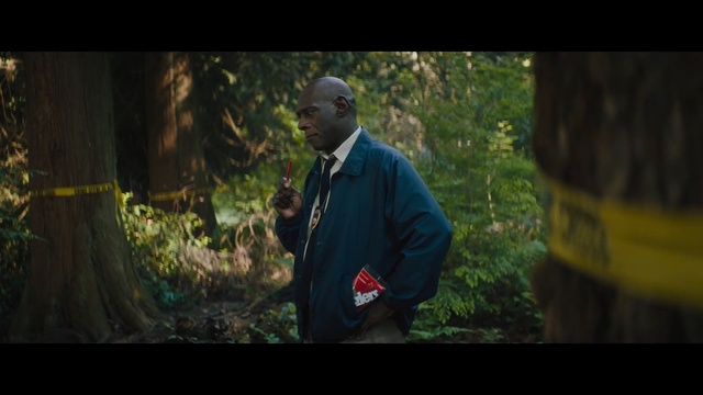 Video Reference: Nature, Photograph, Green, Natural environment, Woodland, Forest, Light, Tree, Movie, Wilderness, Person, Man, Standing, Looking, Front, Wearing, Holding, Photo, Shirt, Young, Field, Suit, Woman, Red, Hat, Food, Blue, Phone, Train, White, Sign, Clothing, Human face, Screenshot, Plant
