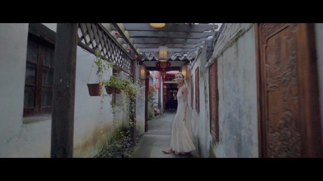 Video Reference: alley, urban area, mode of transport, town, architecture, street, temple, tourist attraction, city, darkness, Person