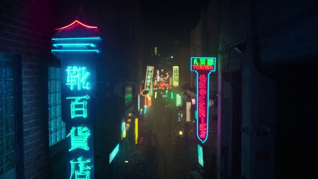 Video Reference: Neon sign, Neon, Light, Lighting, Visual effect lighting, Electronic signage, Signage, Darkness