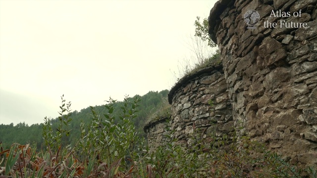 Video Reference: Vegetation, Rock, Wall, Outcrop, Grass family, Grass, Tree, Hill station, Landscape, Plant