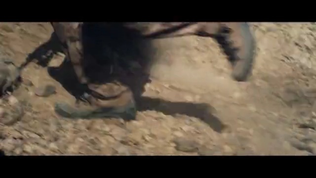 Video Reference: fauna, organism