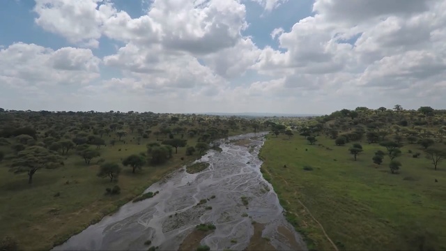 Video Reference: ecosystem, nature reserve, sky, plain, grassland, savanna, cloud, ecoregion, steppe, highland, Person