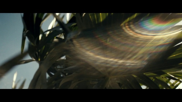 Video Reference: Nature, Sky, Fractal art, Sunlight, Tree, Art, Photography, Stock photography, Space, Screenshot