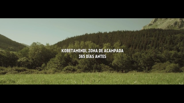 Video Reference: nature, green, ecosystem, vegetation, wilderness, sky, grass, grassland, tree, forest