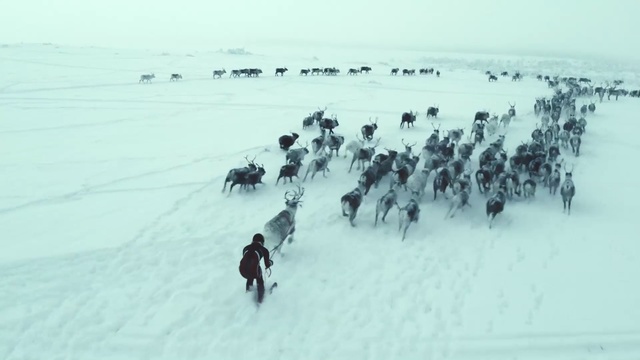 Video Reference: arctic, snow, geological phenomenon, freezing, winter, ice, winter storm, nunatak, blizzard, adventure, Person