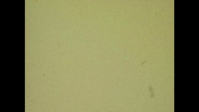 Video Reference: Green, Yellow, Text, Brown, Paper, Rectangle, Pattern, Beige, Square, Tints and shades