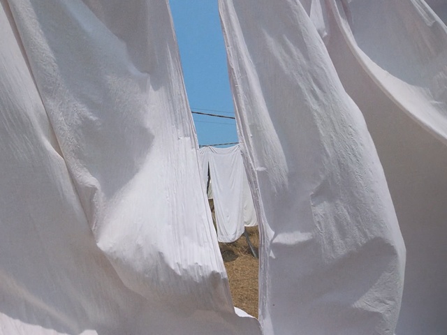 Video Reference: White, Transparent material