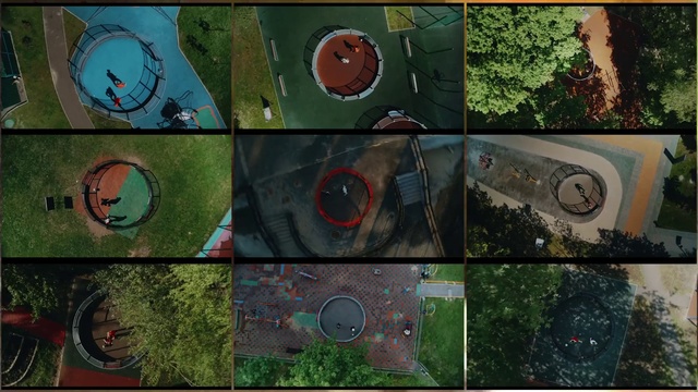 Video Reference: Green, Circle, Organism, Tree, Art, Space, Games