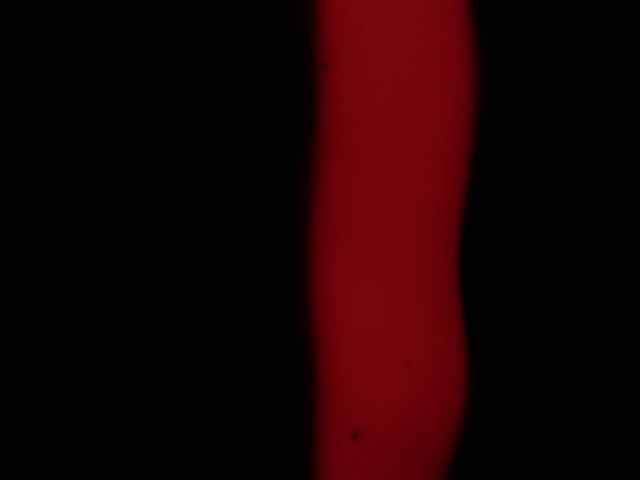 Video Reference: Red, Black, Light, Darkness, Maroon, Lighting, Room, Photography, Still life photography, Carmine