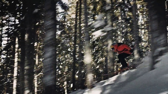 Video Reference: Snow, Winter, Tree, Forest, Recreation, Footwear, Ski, Winter sport, Plant, Geological phenomenon