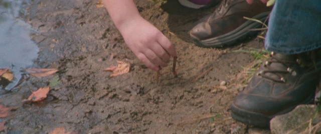 Video Reference: Soil, Footwear, Leg, Boot, Shoe, Foot, Mud, Grass, Rock, Barefoot