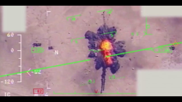 Video Reference: Organism, Screenshot