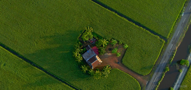 Video Reference: Farm, Aerial photography, Land lot, Grass, Plain, Photography, Strategy video game, Landscape, Plant, Field