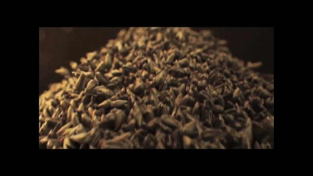 Video Reference: Plant, Parsley family