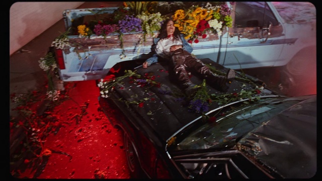 Video Reference: Motor vehicle, Vehicle, Automotive design, Car, Scale model, Indoor, Table, Sitting, Cake, Man, Food, Woman, Standing, Plate, Dog, Covered, Large, Holding, People, Room, Laptop, Red, Young, Game, Display, Fire, White, Playing, Street, Group, Flower, Lobster