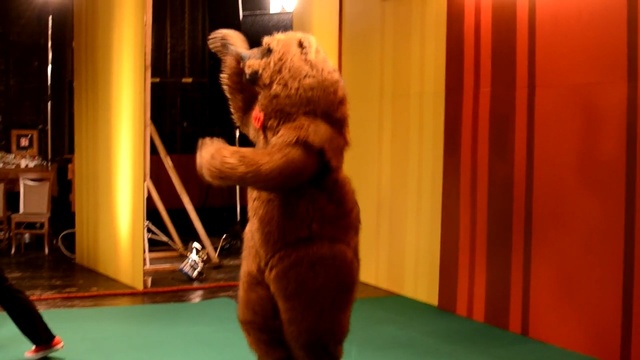 Video Reference: mammal, vertebrate, room, fur, fun, muscle, performance, performance art