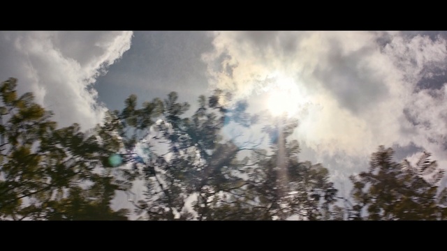 Video Reference: sky, cloud, nature, tree, woody plant, atmosphere, daytime, meteorological phenomenon, sunlight, morning