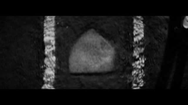 Video Reference: Black, Photograph, Monochrome photography, Darkness, Black-and-white, Still life photography, Monochrome, Medical imaging, Photography, Organism