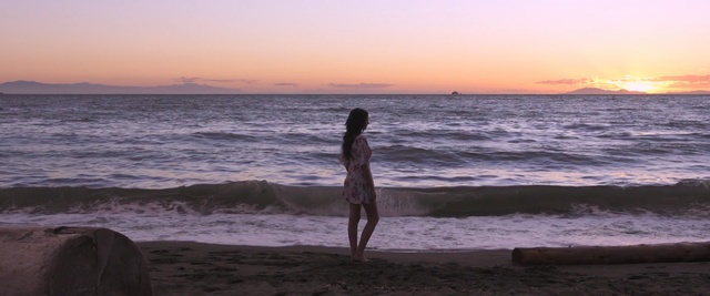 Video Reference: sea, ocean, shore, horizon, sky, wave, beach, sunset, coast, sunrise