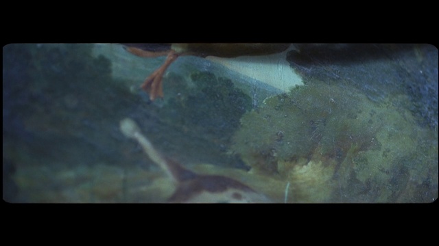 Video Reference: Nature, Painting, Organism, Water, Art, Atmosphere, Underwater, Sky, Marine biology, Darkness