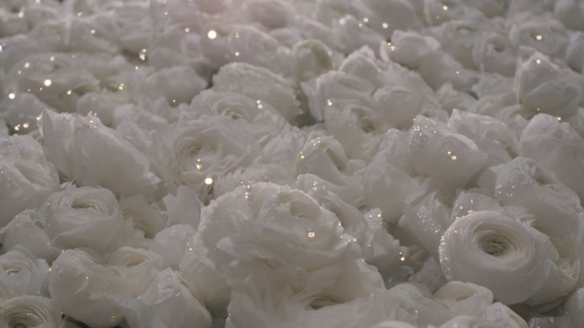 Video Reference: White, Plastic, Comfort food