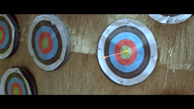 Video Reference: Target archery, Archery, Circle, Arrow, Recreation, Field archery, Precision sports