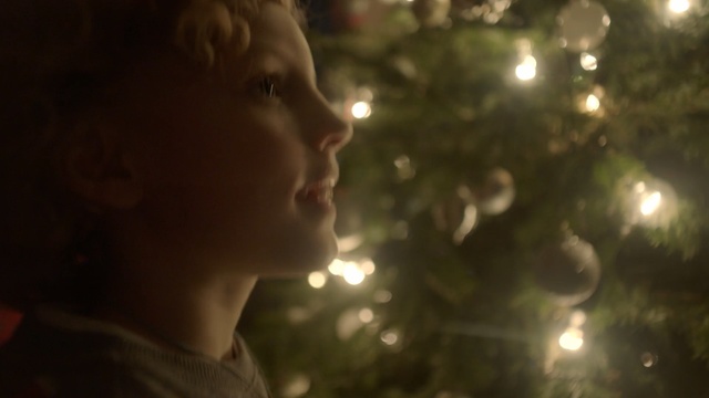 Video Reference: Face, Light, Nose, Sky, Head, Cheek, Tree, Beauty, Backlighting, Leaf