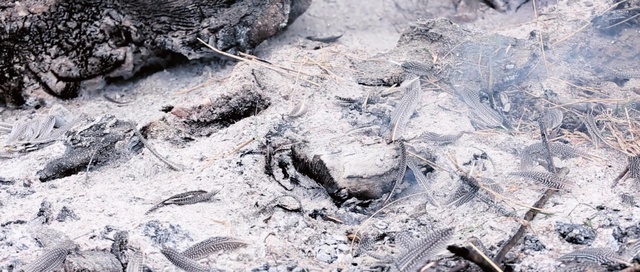 Video Reference: Geological phenomenon, Rock, Ash, Geology, Soil, Bedrock