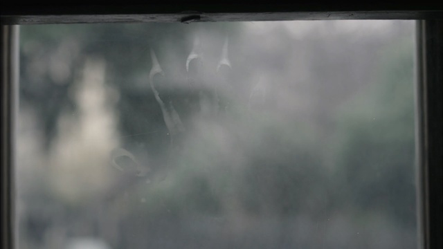 Video Reference: Atmospheric phenomenon, Sky, Cloud, Tree, Photography, Window, Glass