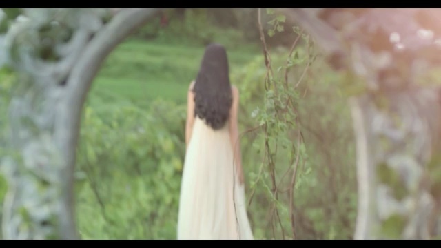 Video Reference: Long hair, Tree, Dress, Blond, Grass, Wildlife, Adaptation, Plant, Black hair, Person