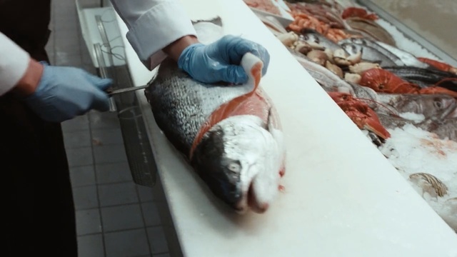 Video Reference: fish, fish, seafood, animal source foods